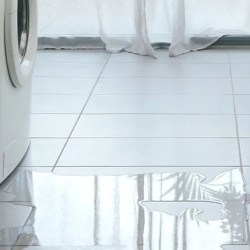 Appliance Leak Cleanup in Becker County, MN