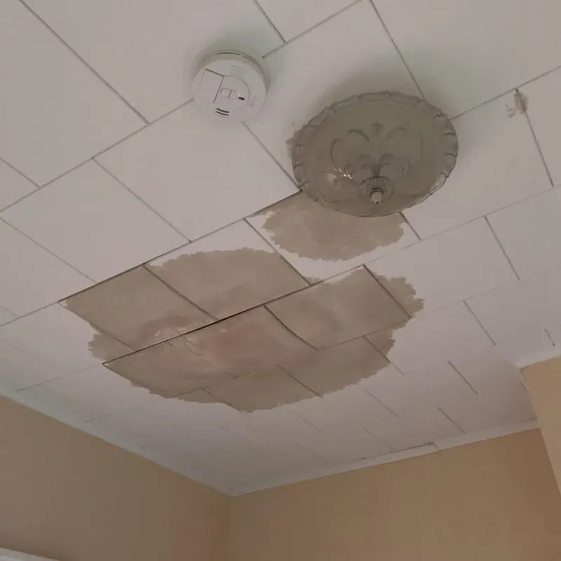 Ceiling Water Damage Repair in Becker County, MN