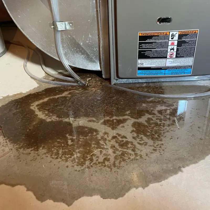 Pipe Burst and Leak Restoration in Becker County, MN